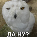 Аватар Да ну?