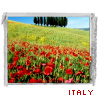 99px.ru аватар Italy,Италия