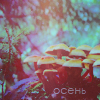 99px.ru аватар Осень