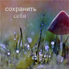 99px.ru аватар Сохранить себя