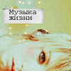 Аватар Музыка жизни