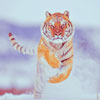 99px.ru аватар Тигр