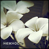 Аватар Нежность