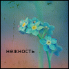 Аватар Нежность
