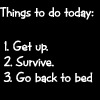 Аватар Things to do today: 1.Get up. 2.Survive 3.Go back to bed