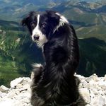 Аватар Одиночество
