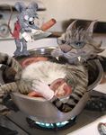 Аватар Суп с котом