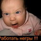 Аватар Работать негры!