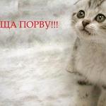 Аватар Ща порву!!!