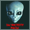 Аватар за чистоту расы