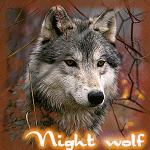 Аватар Night wolf
