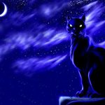 Аватар Чёрный кот в лунной ночи