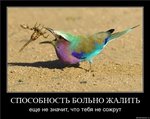 Аватар Способность больно жалить ещё не значит, что тебя не сожрут!