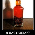 Аватар я настаиваю!