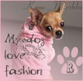 Аватар гламурная собачка (My dog love fashion)