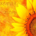 99px.ru аватар подсолнух, желтая жизнь