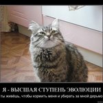 Аватар Я ВЫСШАЯ СТУПЕНЬ ЭВОЛЮЦИИ ты живёшь, чтобы кормить меня и убирать за мной дерьмо