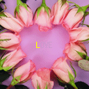 Аватар розочки love