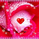 Аватар Розочка любви (Forever love you)