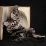 Аватар Котёнок около книжки с двигающейся страницей