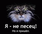 99px.ru аватар Я - не писец! Но я пришёл.