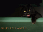 99px.ru аватар Happy Halloween
