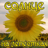 Аватар Cолнце на лепестках