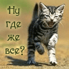Аватар Ну где же все?