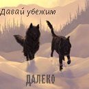 99px.ru аватар Давай убежим далеко, два волка