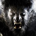 Аватар Человек-волк (к/ф The Wolfman)