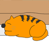 Аватар Спящий кот