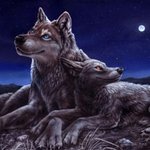 99px.ru аватар Полнолуние