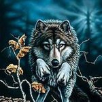 Аватар Навстречу судьбе (волк бежит)