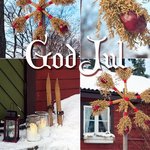 99px.ru аватар God Jul!