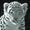 99px.ru аватар тигрёнок