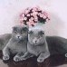 99px.ru аватар кися