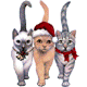 99px.ru аватар Великолепная тройка