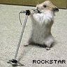 Аватар rockstar