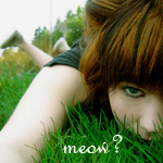 99px.ru аватар Девушка лежит на траве (meow?)