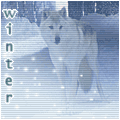 Аватар winter