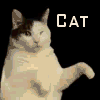 Аватар Танцующий кот (I'm a kitty-cat and I dance dance dance cat)