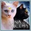 Аватар Luna_Artemis