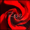 Аватар Rose