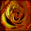 99px.ru аватар your rose...