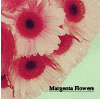 Аватар Magic Flower