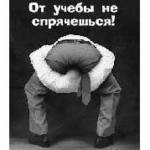 Аватар От учёбы не спрячешься!