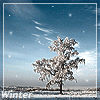 99px.ru аватар winter