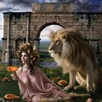 Аватар Собирают грибы