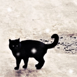 Аватар Черная кошка