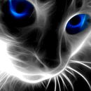99px.ru аватар кот с синими глазами